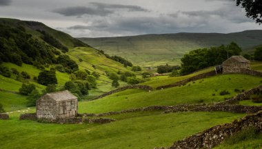 Yorkshire Dales National Park onun üst kesimlerinde Swaledale özellikle büyük onun eski kireç taşı alan kulübeler, taş duvarlar ve kır çiçekleri, bolluk nedeniyle çarpıcı