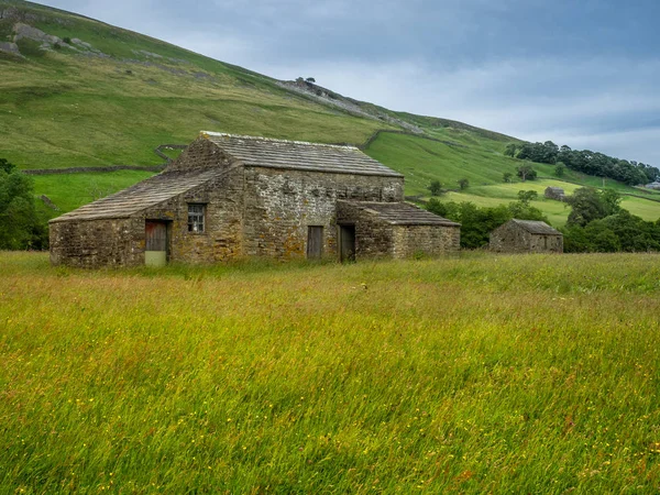 Swaledale Yorkshire Dales National Park Its Upper Parts Particularly Striking — Stock Photo, Image
