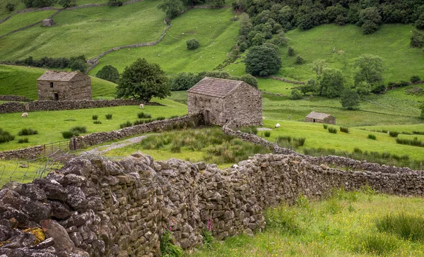 Swaledale Parque Nacional Yorkshire Dales Sus Partes Superiores Son Particularmente — Foto de Stock