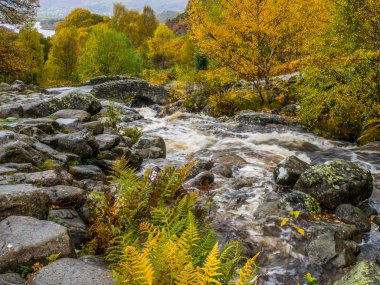 Sonbahar İngilizce Lake District Ashness köprüsünde. Köprü eski packhorse rota Keswick için Watendlaith bir parçasıdır