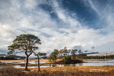 Loch Tulla kar ile İskoçya Highlands kıyısında İskoç Pines tepeler siyah dağ içinde belgili tanımlık geçmiş, kaplı