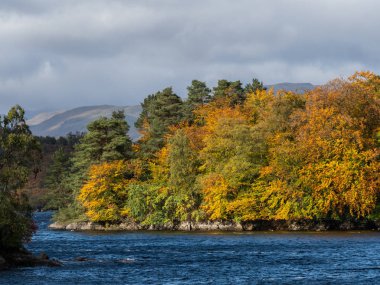 Loch Katrine çok Glasgows içme suyu kaynağı yaygaracı bir sonbahar gününde. Loch İskoçya Highlands Trossachs alan bir doğal cazibe olduğunu
