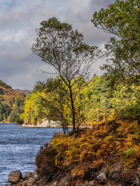 Loch Katrine çok Glasgows içme suyu kaynağı yaygaracı bir sonbahar gününde. Loch İskoçya Highlands Trossachs alan bir doğal cazibe olduğunu