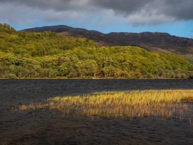 Loch Achray adlı bir sürücüde üç göller iken Trossachs Milli Park İskoçya Highlands sonbahar gün sahilde fırtınalı hava