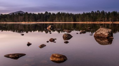 Loch Morlich içinde Cairngorm Ulusal Park İskoçya Highlands ilk ışığı