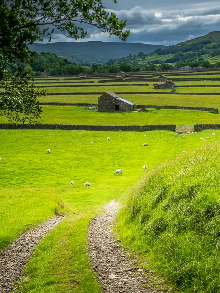Old Stone Barns in Swaledale — Stock Photo, Image