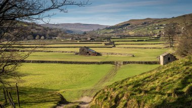 Swaledale eski kulübeler