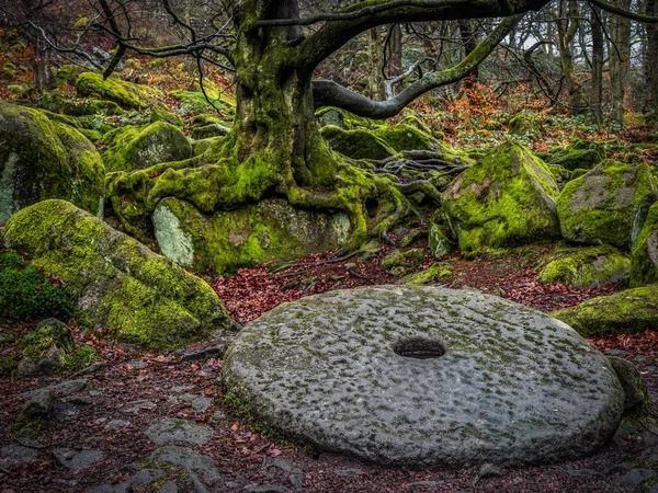 Old Millstone no chão da floresta — Fotografia de Stock