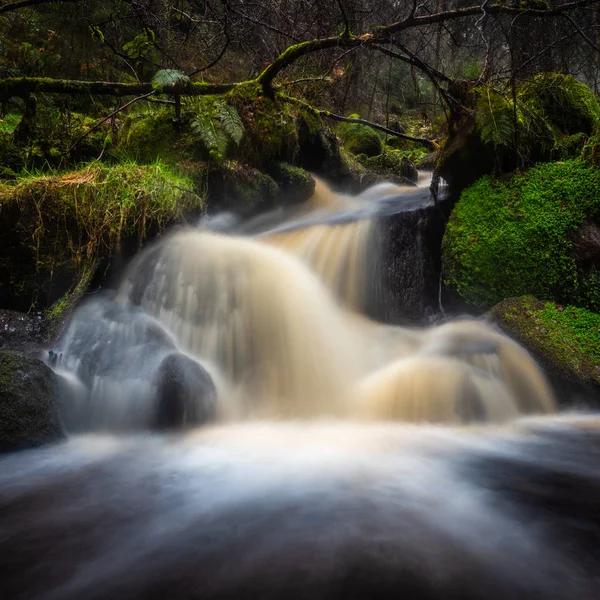 Cascadas en un pequeño arroyo — Foto de Stock