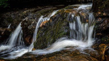Campsie Nr Lennoxtown İskoçya 'dan Clachan' ın hemen yukarısındaki Campsie Glen 'den küçük şelaleler akıyor..