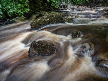 Campsie Nr Lennoxtown İskoçya 'dan Clachan' ın hemen yukarısındaki Campsie Glen 'den küçük şelaleler akıyor..