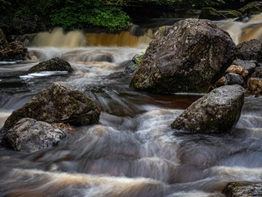 Campsie Nr Lennoxtown İskoçya 'dan Clachan' ın hemen yukarısındaki Campsie Glen 'den küçük şelaleler akıyor..