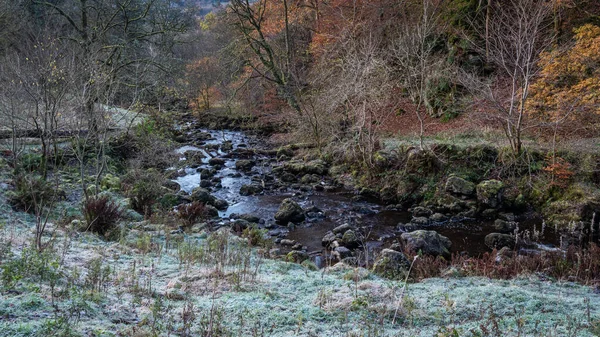 Ένα Παγωμένο Φθινοπωρινό Πρωινό Στο Campsie Glen Kirk Burn Τρέχει — Φωτογραφία Αρχείου