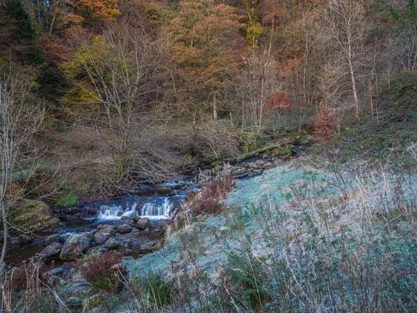 Ένα Παγωμένο Φθινοπωρινό Πρωινό Στο Campsie Glen Kirk Burn Τρέχει — Φωτογραφία Αρχείου