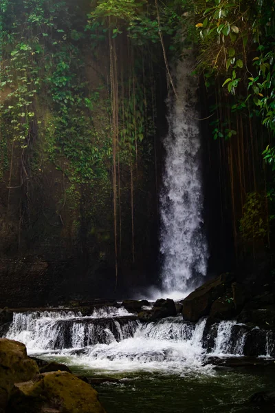 Waterfall landscape. Beautiful hidden Sumampan waterfall in tropical rainforest in Bali near Ubud. — Stock Photo, Image