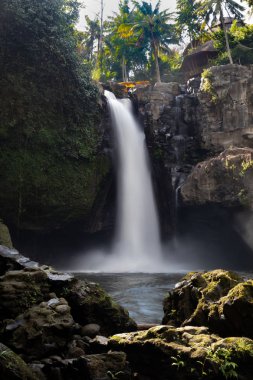 Şelale manzarası. Ubud yakınlarındaki Bali tropikal yağmur ormanlarında Amazing Tegenungan şelale. Yavaş deklanşör hızı, hareket fotoğrafçılığı.