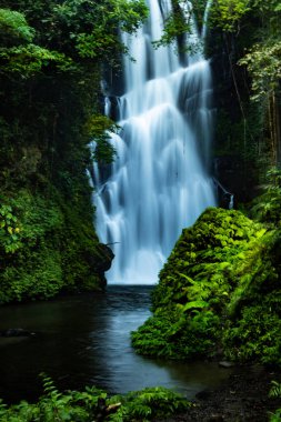 Şelale manzarası. Sambangan, Bali tropikal yağmur ormanlarında Güzel gizli Cemara şelale. Yavaş deklanşör hızı, hareket fotoğrafçılığı.