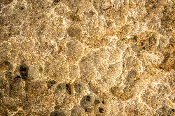Stone texture. Beige rock background. Surface of the rock. Close up of rock texture. Background for design. Copy space.