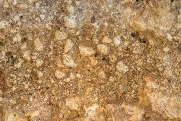 Stone texture. Beige rock background. Surface of the rock. Close up of rock texture. Background for design. Copy space.