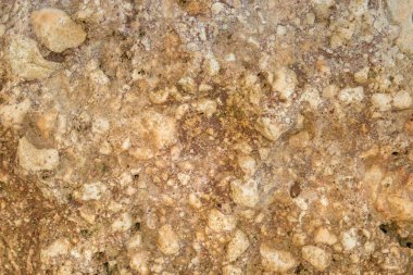 Taş dokusu. Bej renkli kaya arka plan. Kayanın yüzeyi. Kaya dokusunu kapat. Tasarım için arka plan. Boşluğu kopyala.