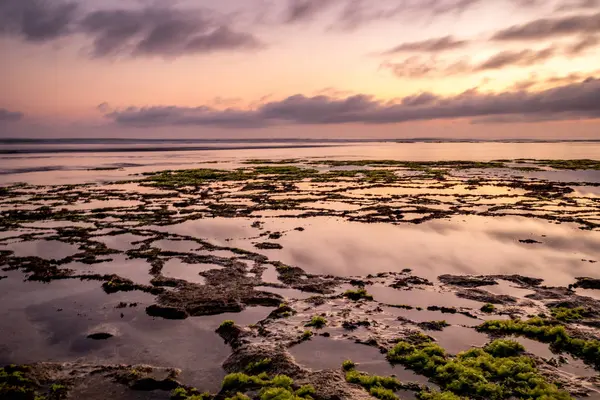 Paisaje marino. Puesta de sol en la playa. Marea baja del océano. Rocas con algas verdes. Banner de fondo horizontal. Playa Nyang Nyang, Bali, Indonesia . — Foto de Stock