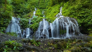 İnanılmaz bir manzara. Tropikal yağmur ormanlarında saklı güzel bir şelale. Macera ve seyahat konsepti. Doğa geçmişi. Yavaş deklanşör hızı, hareket fotoğrafçılığı. Pucak Manik Şelalesi Bali, Endonezya