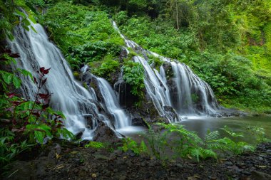 İnanılmaz bir manzara. Tropikal yağmur ormanlarında saklı güzel bir şelale. Macera ve seyahat konsepti. Doğa geçmişi. Yavaş deklanşör hızı, hareket fotoğrafçılığı. Pucak Manik Şelalesi Bali, Endonezya