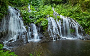 İnanılmaz bir manzara. Tropikal yağmur ormanlarında saklı güzel bir şelale. Macera ve seyahat konsepti. Doğa geçmişi. Yavaş deklanşör hızı, hareket fotoğrafçılığı. Pucak Manik Şelalesi Bali, Endonezya