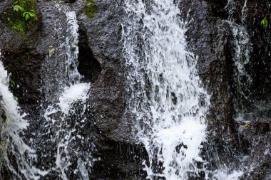 Şelaleyi kapatın. Dinamik su akışı. Waterscape arka planı. Su enerjisi. Doğa ve çevre kavramı. Pucak Manik Şelalesi Bali, Endonezya