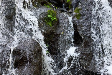 Şelaleyi kapatın. Dinamik su akışı. Waterscape arka planı. Su enerjisi. Doğa ve çevre kavramı. Pucak Manik Şelalesi Bali, Endonezya