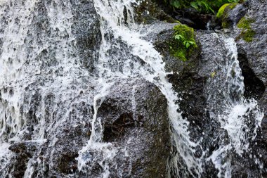 Şelaleyi kapatın. Dinamik su akışı. Waterscape arka planı. Su enerjisi. Doğa ve çevre kavramı. Pucak Manik Şelalesi Bali, Endonezya