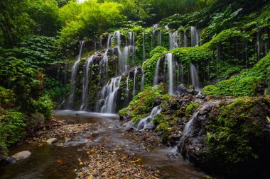 Tropik bir manzara. Yağmur ormanlarında saklı güzel bir şelale. Macera ve seyahat konsepti. Doğa geçmişi. Yavaş deklanşör hızı, hareket fotoğrafçılığı. Banyu Wana Amertha Şelalesi Bali, Endonezya