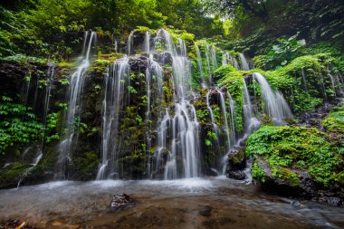 Tropik bir manzara. Yağmur ormanlarında saklı güzel bir şelale. Macera ve seyahat konsepti. Doğa geçmişi. Yavaş deklanşör hızı, hareket fotoğrafçılığı. Banyu Wana Amertha Şelalesi Bali, Endonezya
