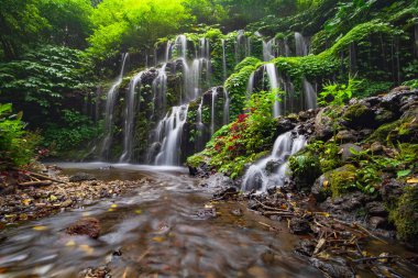 Tropik bir manzara. Yağmur ormanlarında saklı güzel bir şelale. Macera ve seyahat konsepti. Doğa geçmişi. Yavaş deklanşör hızı, hareket fotoğrafçılığı. Banyu Wana Amertha Şelalesi Bali, Endonezya