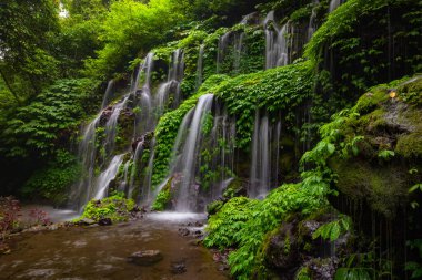 Tropik bir manzara. Yağmur ormanlarında saklı güzel bir şelale. Macera ve seyahat konsepti. Doğa geçmişi. Yavaş deklanşör hızı, hareket fotoğrafçılığı. Banyu Wana Amertha Şelalesi Bali, Endonezya