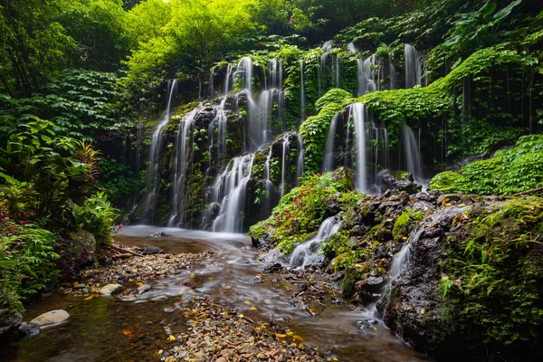Tropik bir manzara. Yağmur ormanlarında saklı güzel bir şelale. Macera ve seyahat konsepti. Doğa geçmişi. Yavaş deklanşör hızı, hareket fotoğrafçılığı. Banyu Wana Amertha Şelalesi Bali, Endonezya