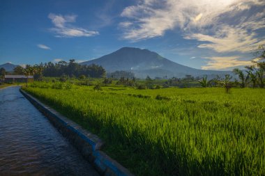 Güneş doğarken tropik bir manzara. Agung Volkanı 'nın manzarası. Köydeki nehir ve pirinç tarlaları. Güneş ışığı ve açık gökyüzü. Bali, Endonezya