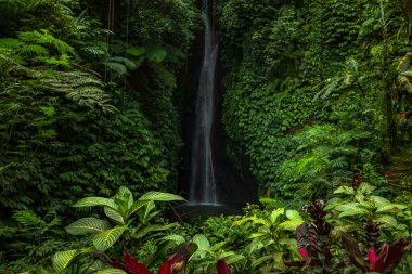 Şelale manzarası. Bali 'de güzel gizli Leke Leke şelalesi. Tropik bir manzara. Tropikal yağmur ormanlarında şelale. Bitkilerle ön plana odaklan. Hareket fotoğrafçılığı. Yatay yerleşim.