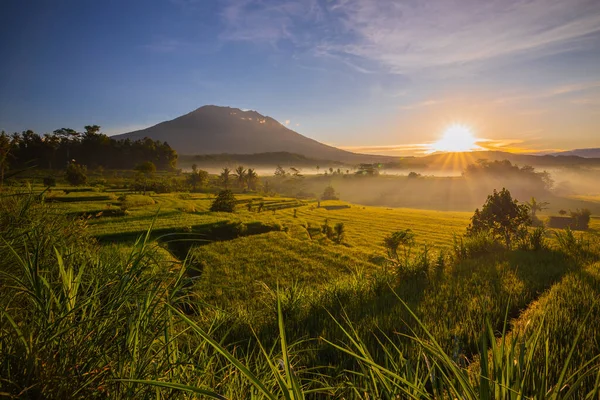 Beautiful Landscape Sunrise Rice Paddies Agung Volcano Background Scenic Panoramic — Stock Photo, Image