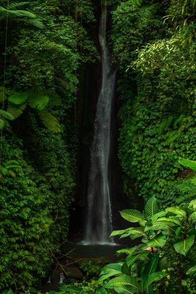 Paisaje Cascada Hermosa Cascada Oculta Leke Leke Bali Paisajes Tropicales — Foto de Stock