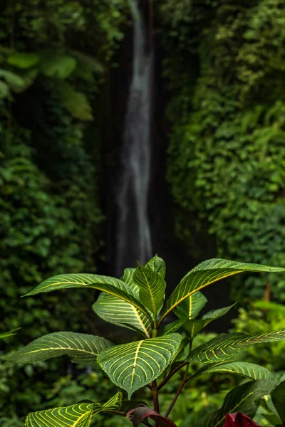 Paisagem Cachoeira Bela Cascata Leke Leke Escondida Bali Cenário Tropical — Fotografia de Stock