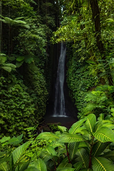 Paisaje Cascada Hermosa Cascada Oculta Leke Leke Bali Paisajes Tropicales — Foto de Stock