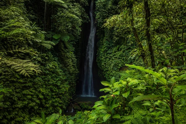 Waterfall landscape. Beautiful hidden Leke Leke waterfall in Bali. Tropical scenery. Waterfall in tropical rainforest. Slow shutter speed, motion photography. Horizontal layout.