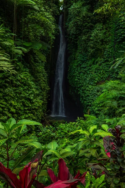 Paisagem Cachoeira Bela Cascata Leke Leke Escondida Bali Cenário Tropical — Fotografia de Stock