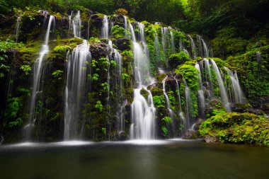 Tropik bir manzara. Yağmur ormanlarında saklı güzel bir şelale. Macera ve seyahat konsepti. Doğa geçmişi. Yavaş deklanşör hızı, hareket fotoğrafçılığı. Banyu Wana Amertha Şelalesi Bali, Endonezya