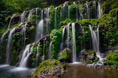 Tropik bir manzara. Yağmur ormanlarında saklı güzel bir şelale. Macera ve seyahat konsepti. Doğa geçmişi. Yavaş deklanşör hızı, hareket fotoğrafçılığı. Banyu Wana Amertha Şelalesi Bali, Endonezya