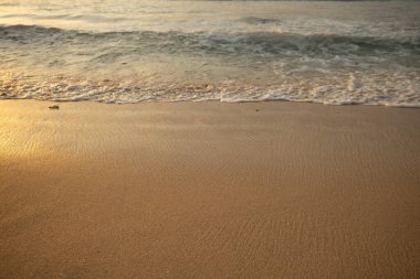 Manzaralı deniz manzarası. Kumsalda köpüklü dalgalar. Gün batımı zamanı. Arka plan için su manzarası. Seçilmiş yumuşak sanat odağı. Suya ve ıslak kuma güneş ışığı yansıması. Uzayı kopyala Balangan Sahili, Bali, Endonezya