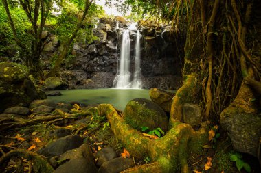Tropik bir manzara. Yağmur ormanlarında saklı güzel bir şelale. Macera ve seyahat konsepti. Doğa geçmişi. Yavaş deklanşör hızı, hareket fotoğrafçılığı. Sing Sing Angin Şelalesi Bali, Endonezya