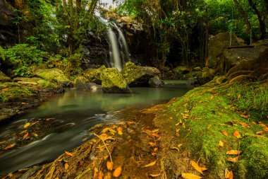 Tropik bir manzara. Yağmur ormanlarında saklı güzel bir şelale. Macera ve seyahat konsepti. Doğa geçmişi. Yavaş deklanşör hızı, hareket fotoğrafçılığı. Sing Sing Angin Şelalesi Bali, Endonezya