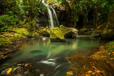 Tropik bir manzara. Yağmur ormanlarında saklı güzel bir şelale. Macera ve seyahat konsepti. Doğa geçmişi. Yavaş deklanşör hızı, hareket fotoğrafçılığı. Sing Sing Angin Şelalesi Bali, Endonezya